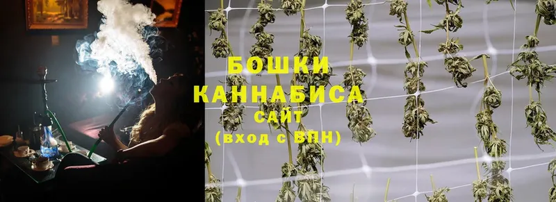 купить наркоту  Цоци-Юрт  МАРИХУАНА THC 21% 